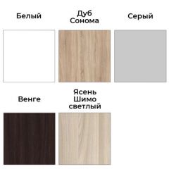 Шкаф-купе ХИТ 22-4-12/2-11 (420) | фото 3