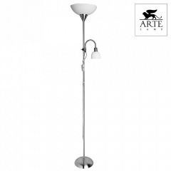 Торшер с подсветкой Arte Lamp Duetto A9569PN-2SS | фото 2