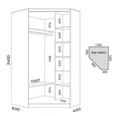 Шкаф-купе ХИТ-У-L-24-64-66 | фото 3