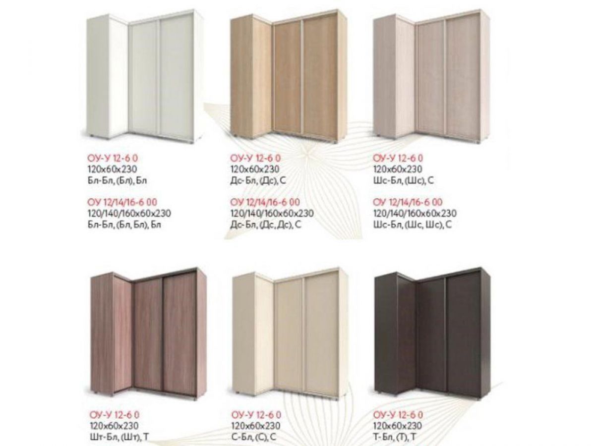 Шкаф-купе "Удачный" угловой ОУ-У 12-6-0 (Белый) | фото 2